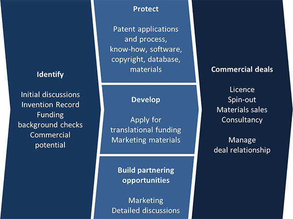 infographic IP commercialisation process