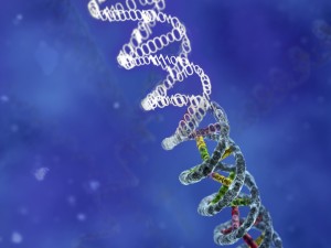 Image from Oxford Software Improves Gene Analysis News Article