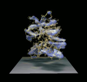 Image from Licence Details: EM∩IM – Correlating Electron Microscopy (EM) and Ion Mobility (IM) spectra