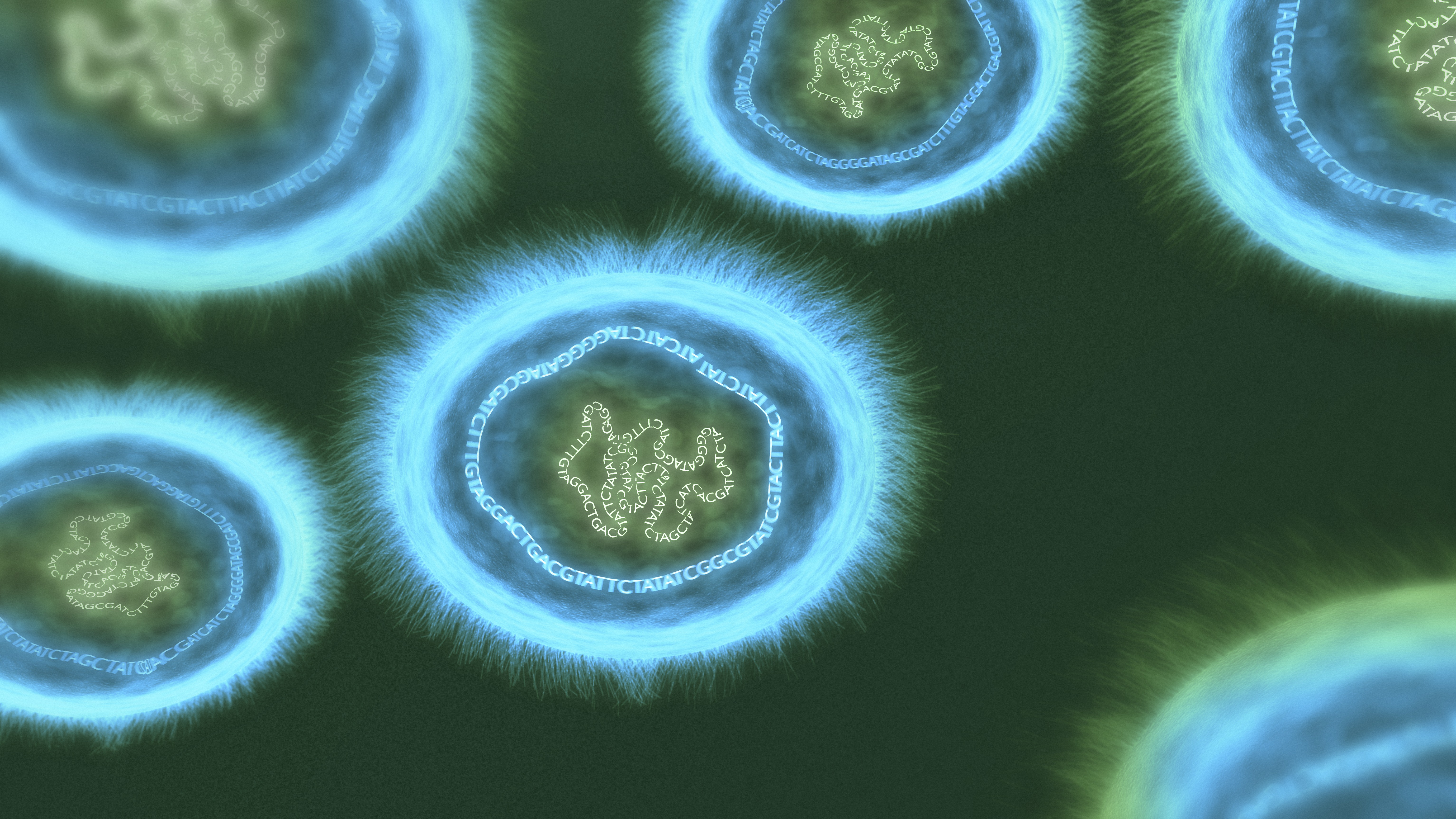 Кольцевая хромосома 2. Плазмиды бактерий микроскоп. Плазмиды бактериальной клетки. Плазмида ДНК. Плазмиды строение клетки бактерии.