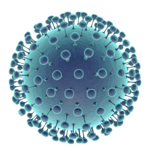 Image from Licence Details: Zika viral vector vaccine