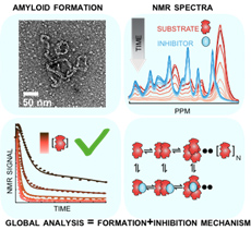 Image from Licence Details: AFIRM: Amyloid Formation and Inhibition Mechanism