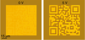 Image from Licence Details: Read-on-demand features in liquid crystal devices