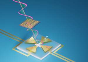 Image from Licence Details: 3D-cross nanowire networks for terahertz detectors