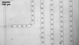 Image from Licence Details: Rapid high precision microencapsulation for controlled release