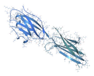 Image from Licence Details: Computational antibody modelling and prediction – SAbPred singularity platform