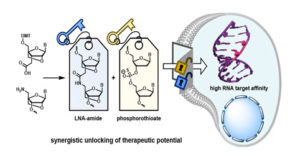 Image from Licence Details: Increasing the potential of the next generation therapeutic oligonucleotides