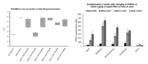 Image from Licence Details: Lysine-based cell-penetrating peptides for intracellular delivery