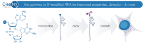 Image from Licence Details: Enhancement of RNA properties via in vitro transcription priming